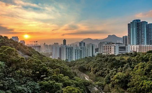 深圳市一季度GDP同比降6.6 房地产开发投资增长2.1